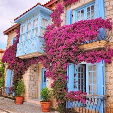 Begonvillerle Süslü Alaçatı Sokakları